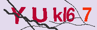 Проверочный код