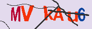 Проверочный код